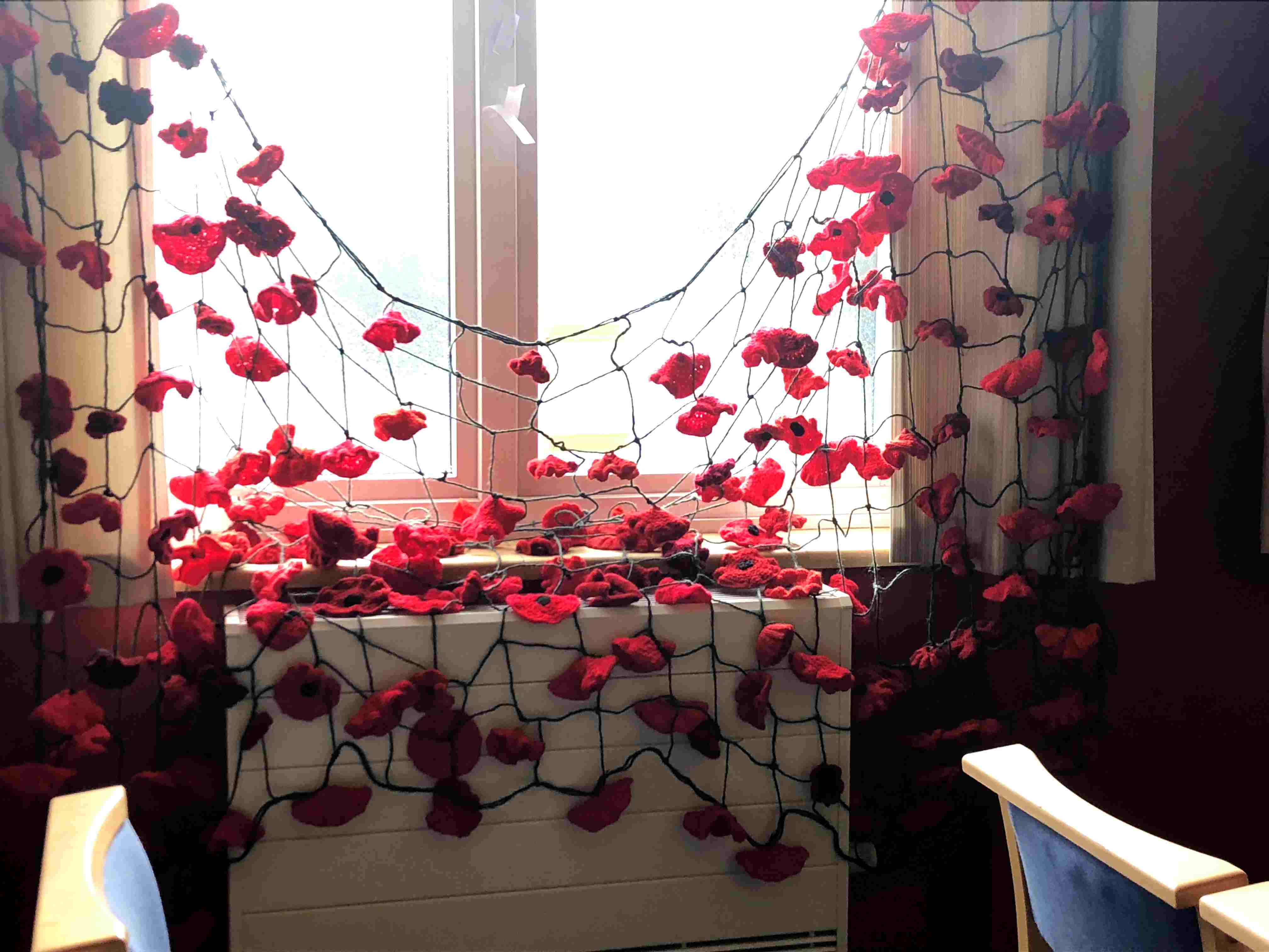 Poppies up at window